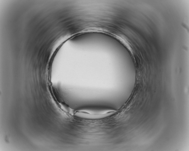 X0000096421003200802071658