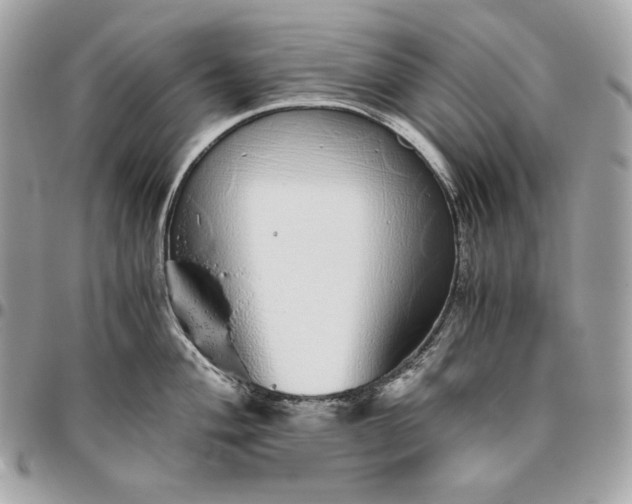 X0000096421004200802071658