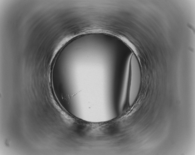 X0000096421005200802071658