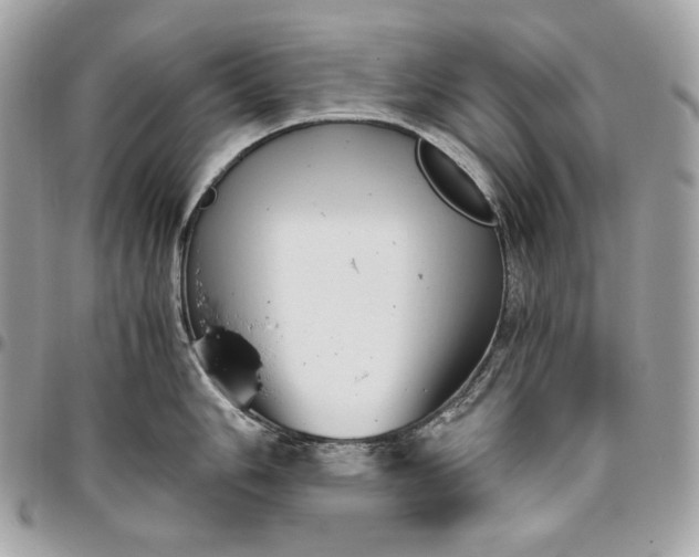 X0000096421006200802071658