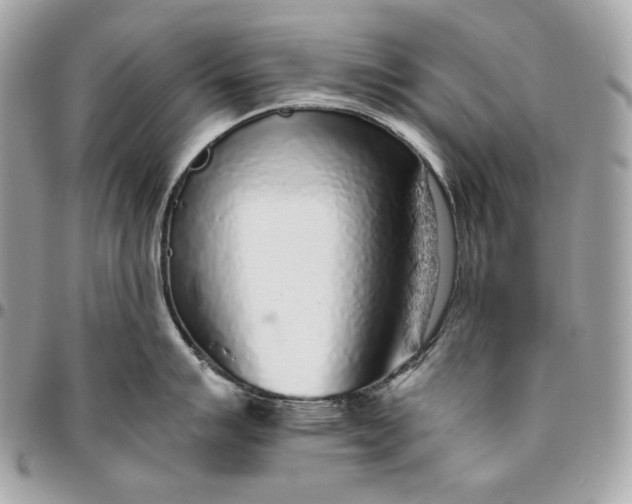 X0000096421007200802071658