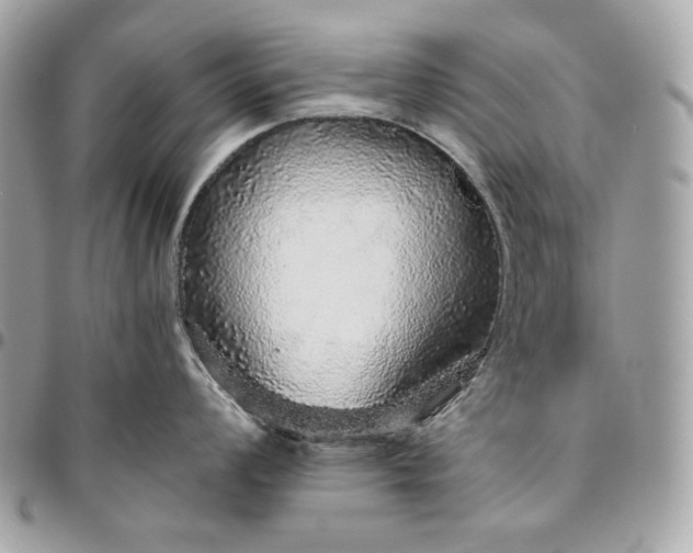 X0000096421008200802071658