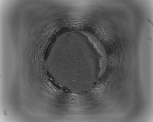 X0000096421009200802071657