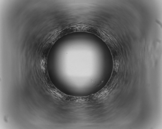 X0000096421010200802071657