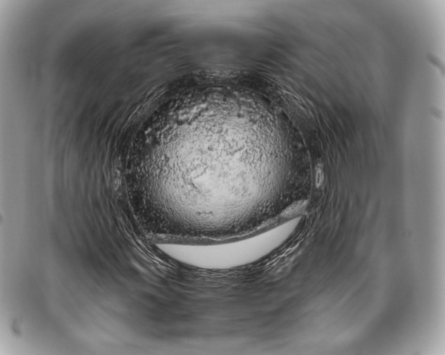 X0000096421011200802071658