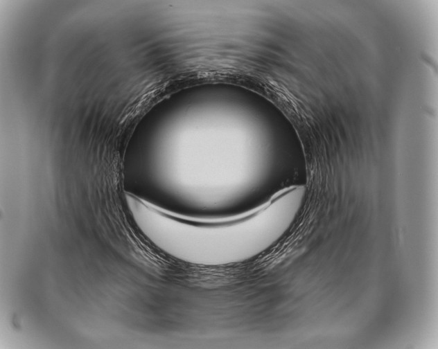 X0000096421012200802071658