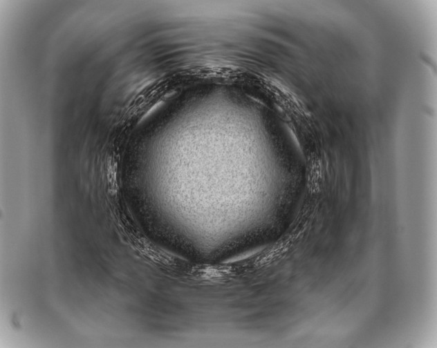 X0000096421013200802071658