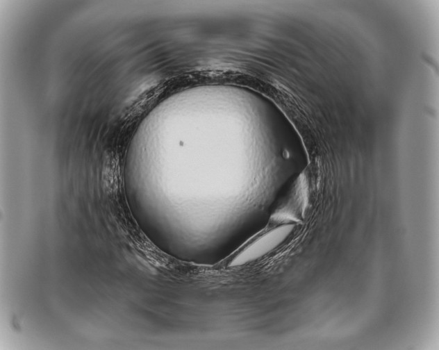 X0000096421014200802071658