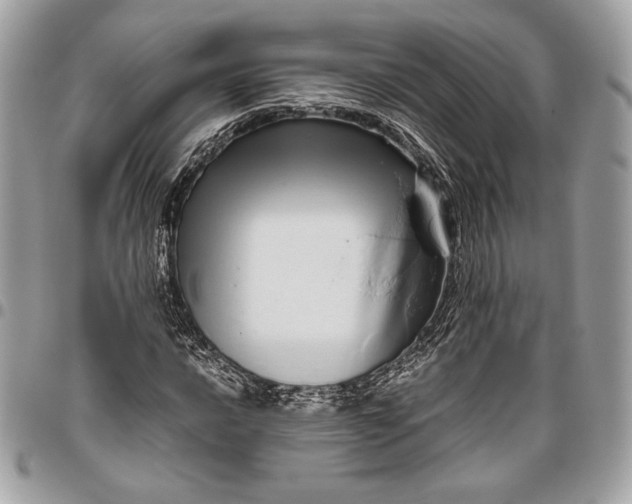 X0000096421016200802071658