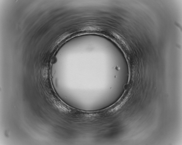 X0000096421017200802071658