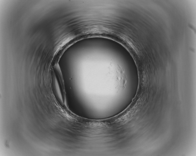 X0000096421018200802071658