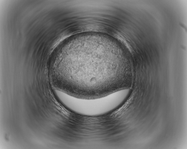 X0000096421019200802071658