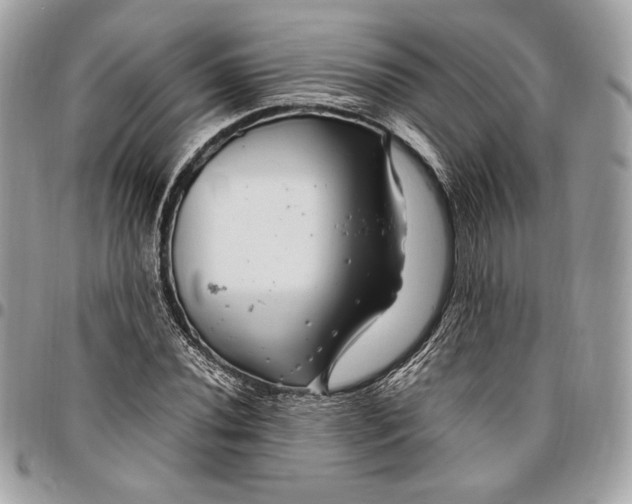 X0000096421020200802071658