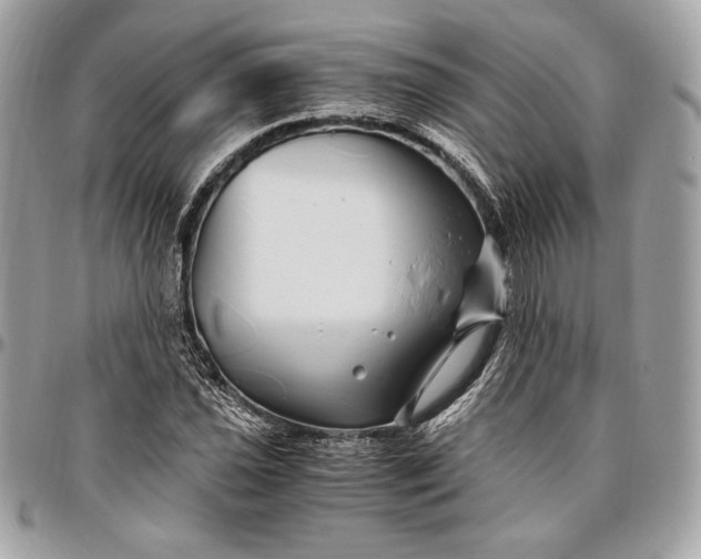 X0000096421021200802071658