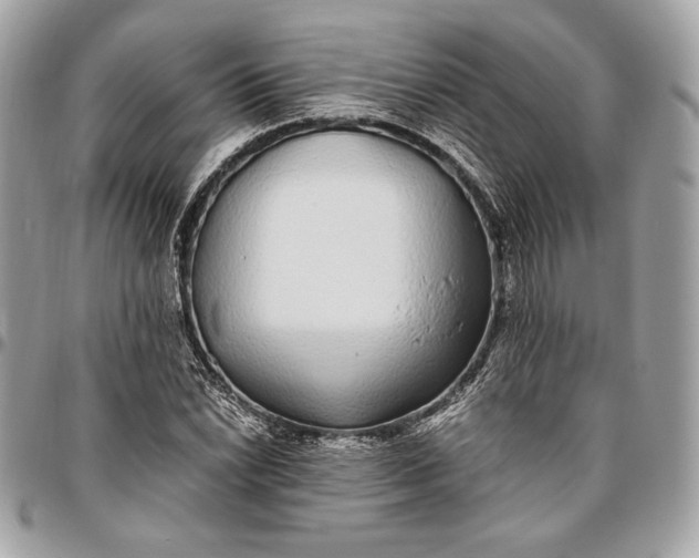 X0000096421022200802071658