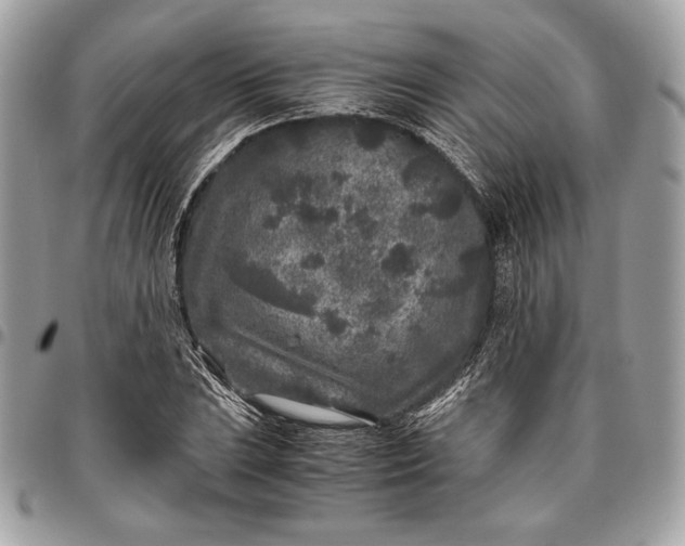 X0000096421023200802071658