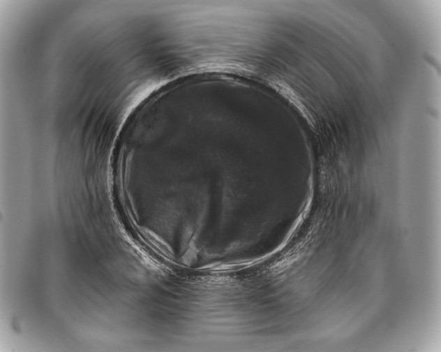 X0000096421024200802071658