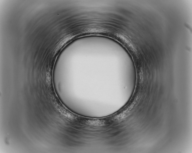 X0000096421025200802071658