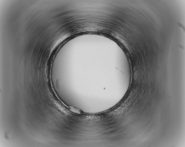 X0000096421026200802071658