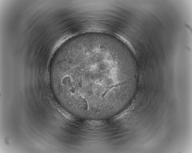 X0000096421027200802071658