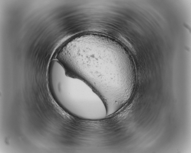 X0000096421028200802071658