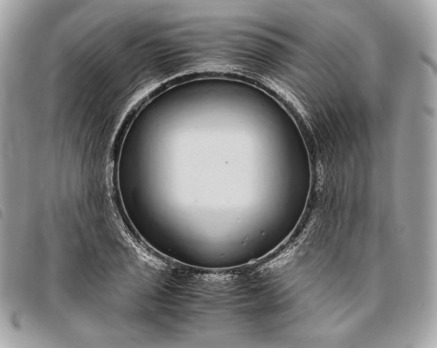 X0000096421029200802071658