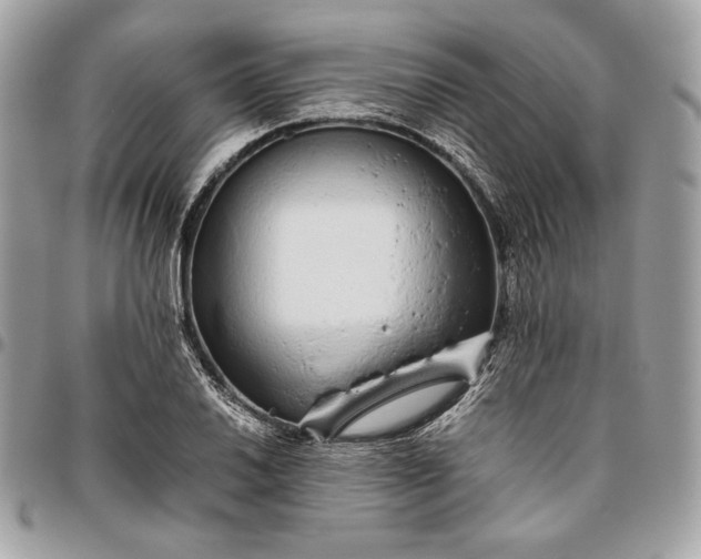 X0000096421030200802071658