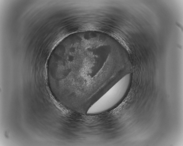 X0000096421031200802071658