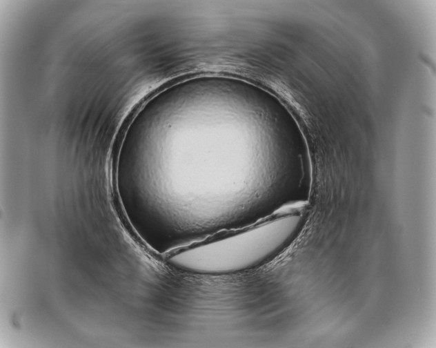 X0000096421032200802071658