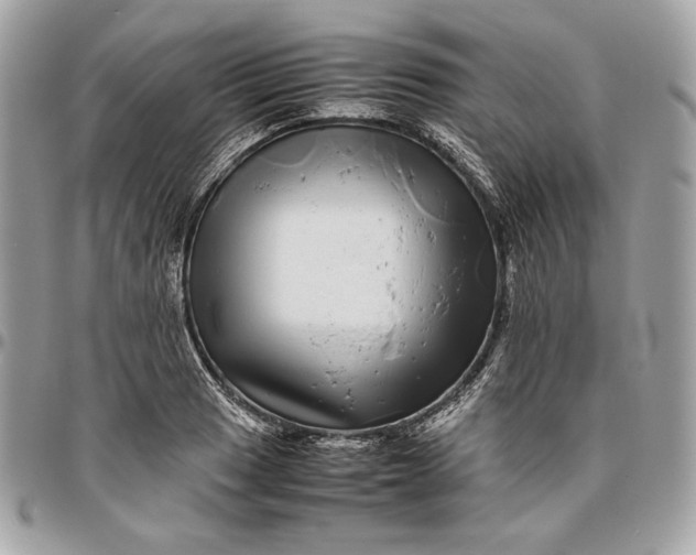 X0000096421033200802071658