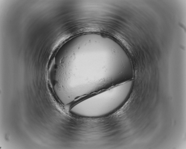 X0000096421034200802071658