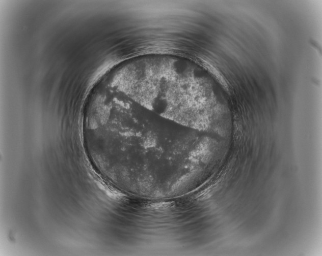 X0000096421035200802071658