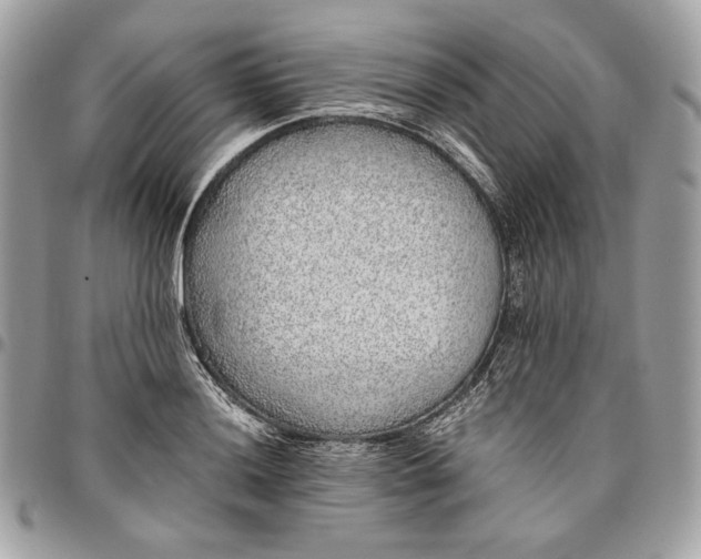 X0000096421036200802071658