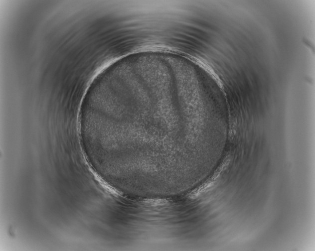 X0000096421037200802071658