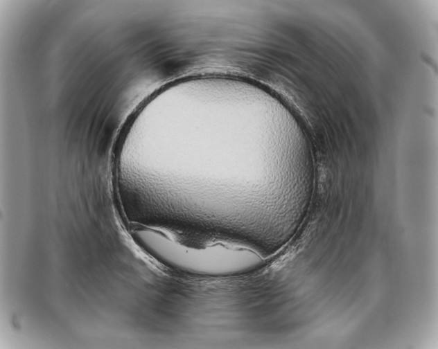 X0000096421038200802071658