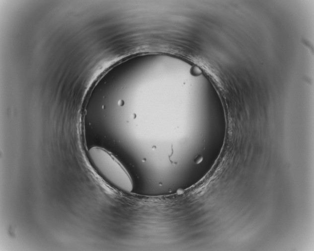 X0000096421040200802071658