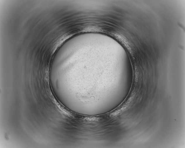 X0000096421041200802071658