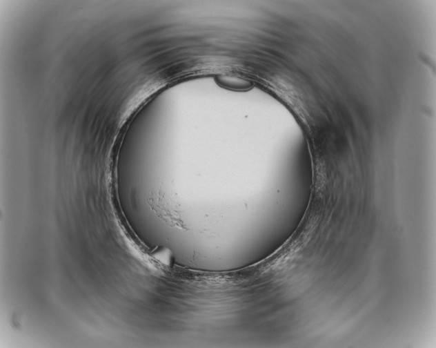 X0000096421042200802071658