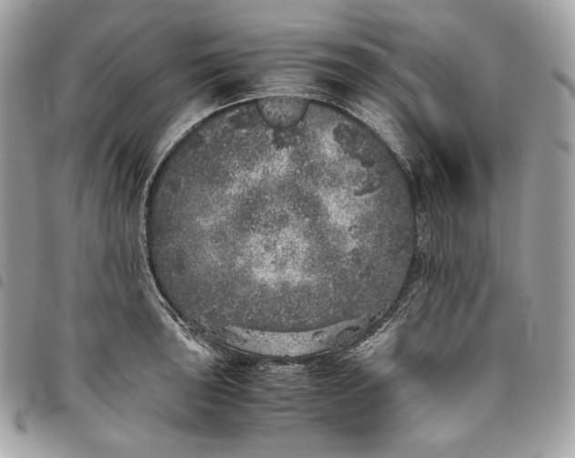 X0000096421043200802071658