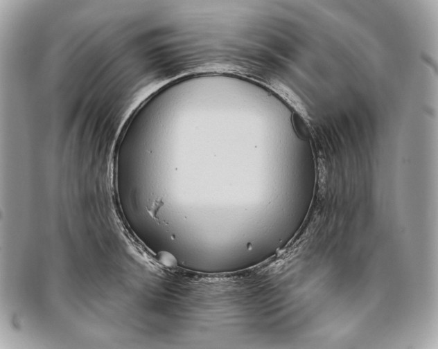 X0000096421044200802071658