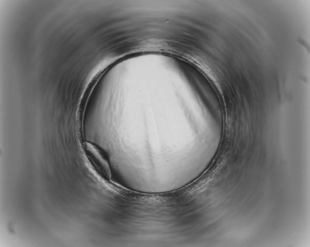 X0000096421045200802071658