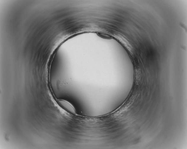 X0000096421046200802071658