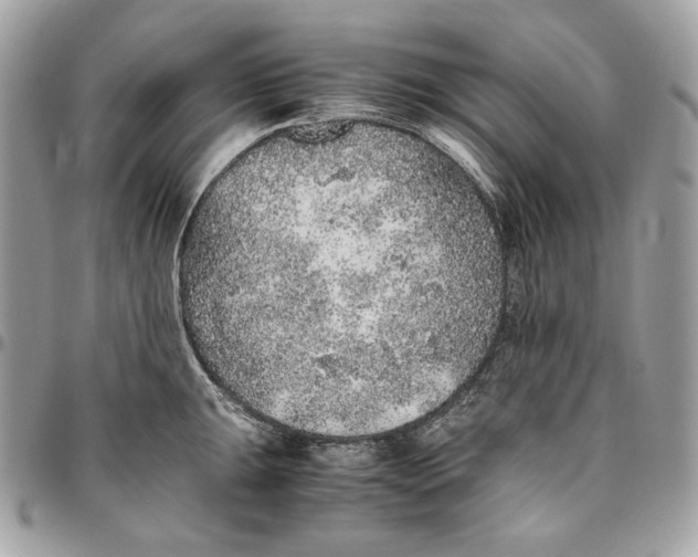 X0000096421047200802071658