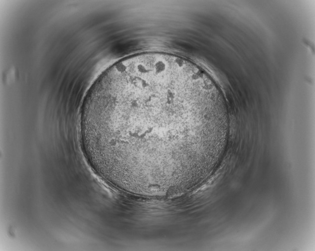 X0000096421048200802071658