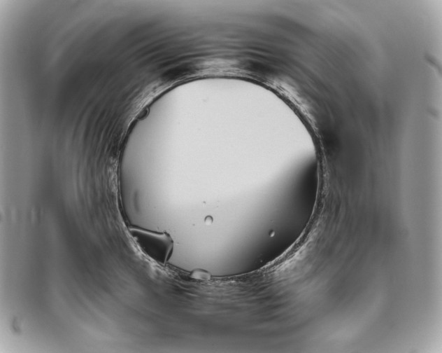 X0000096421049200802071658