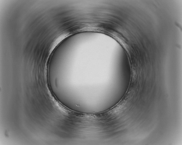 X0000096421050200802071658