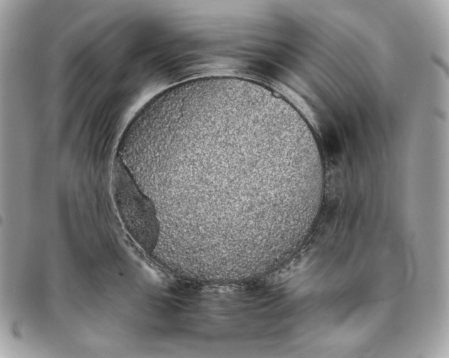 X0000096421051200802071658