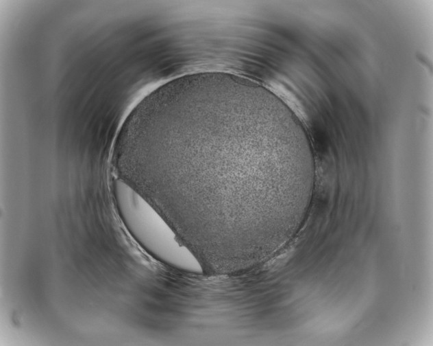 X0000096421052200802071658