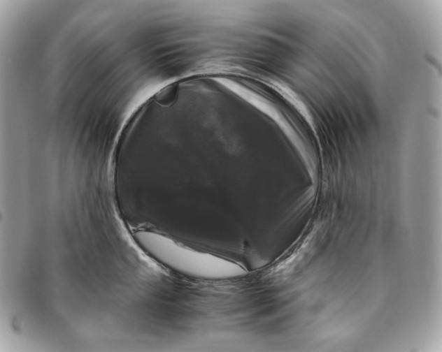 X0000096421053200802071658