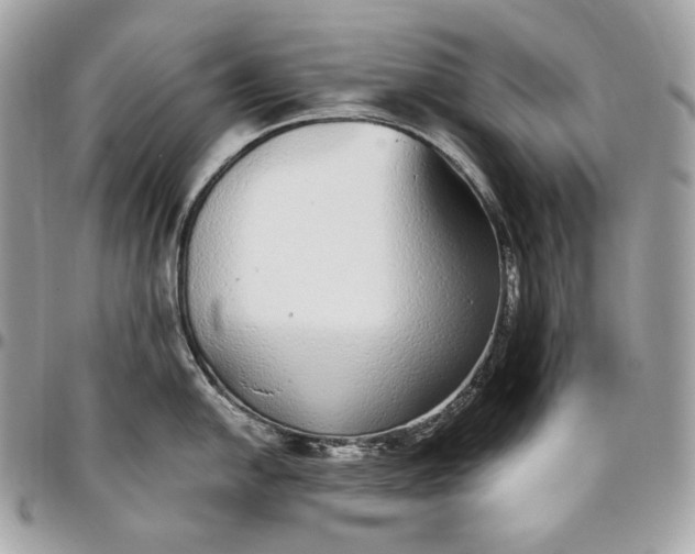 X0000096421054200802071658